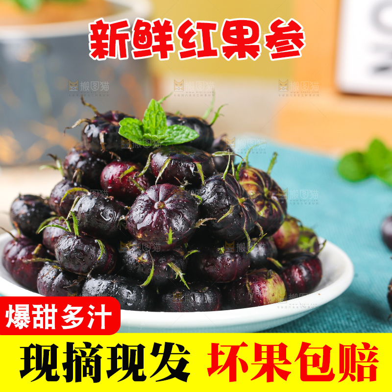 浅底上的红果参
