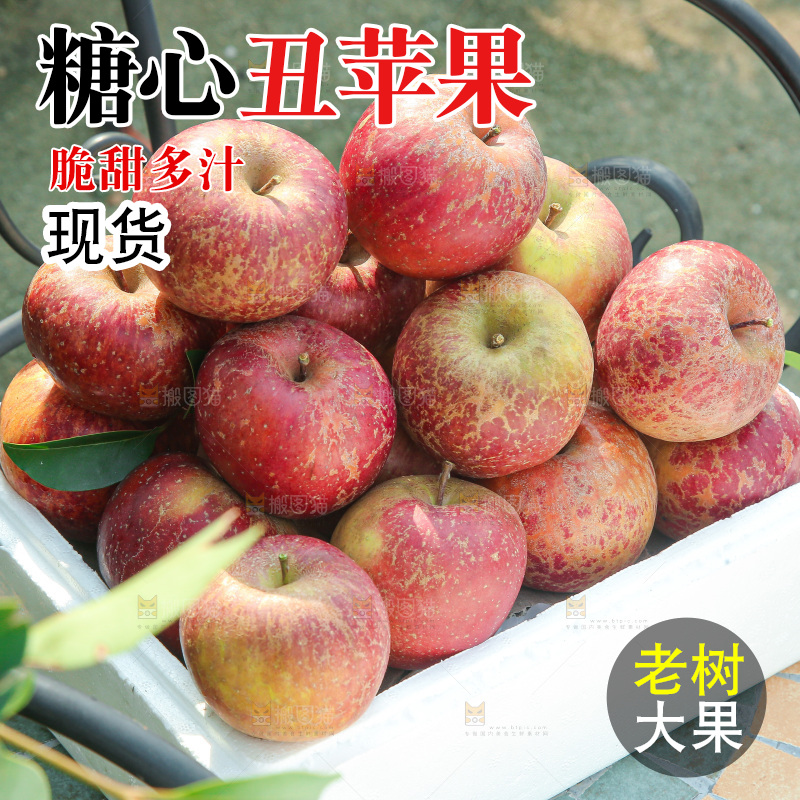 外景糖心苹果