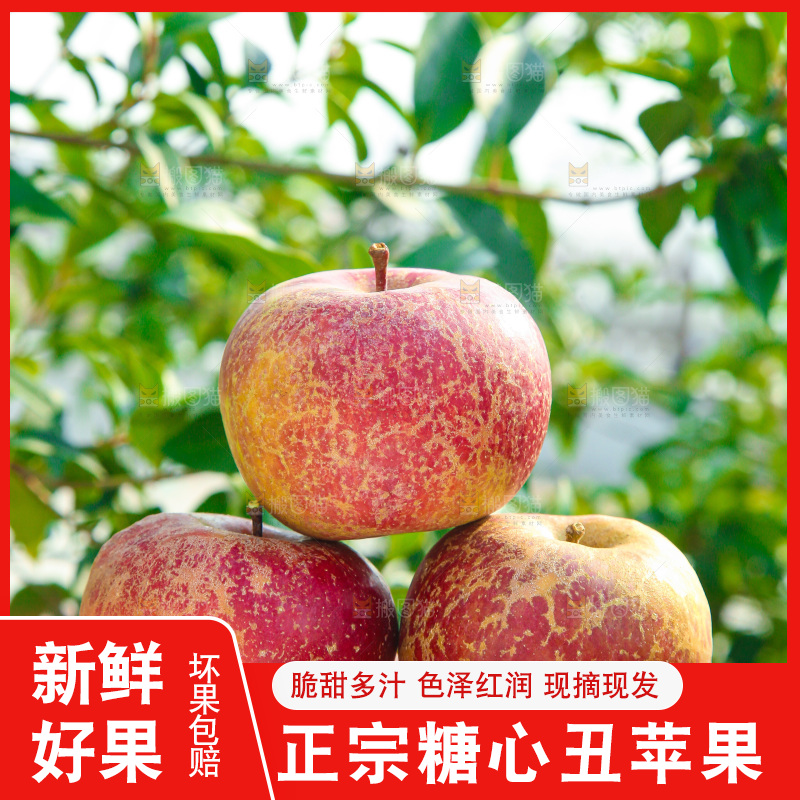 外景糖心苹果