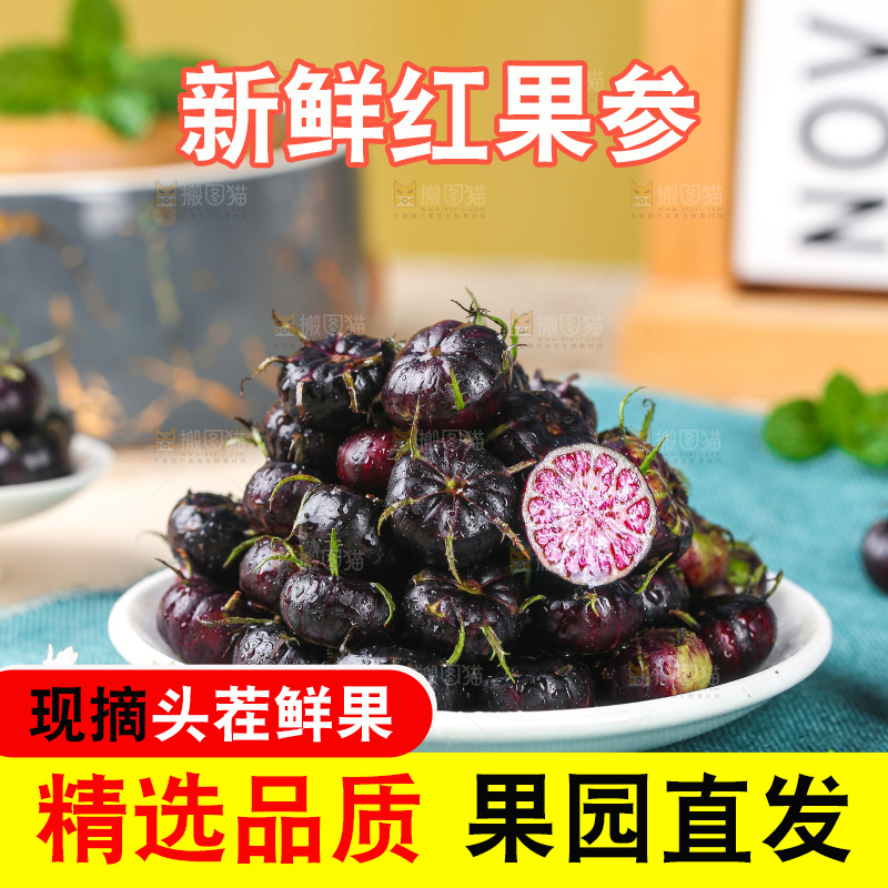 浅底上的红果参