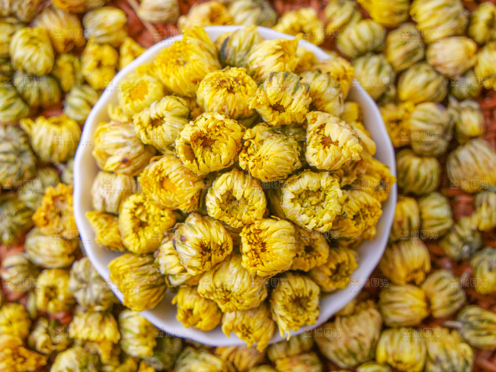 深底上的胎菊