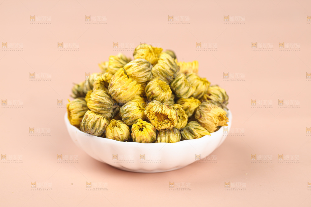 浅底上的胎菊