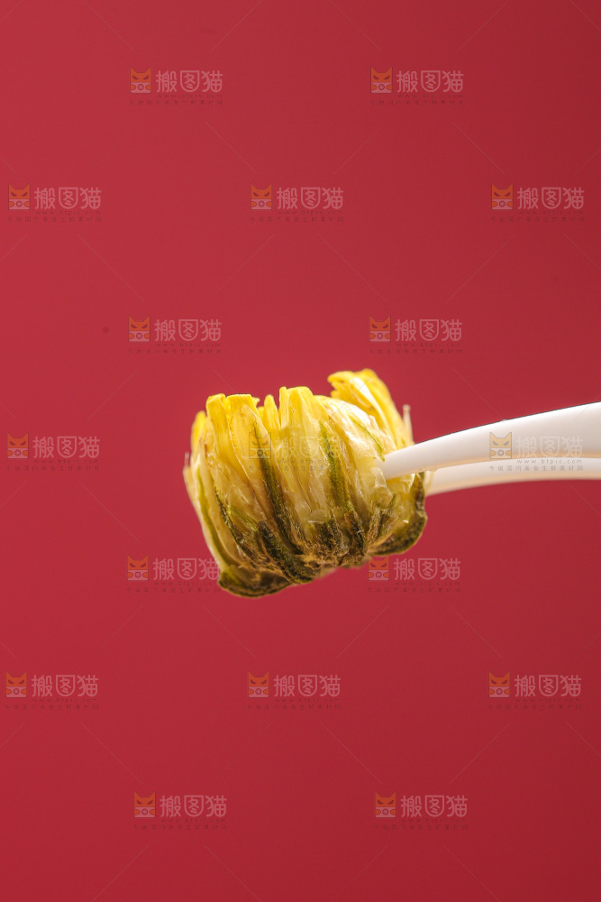 深底上的胎菊