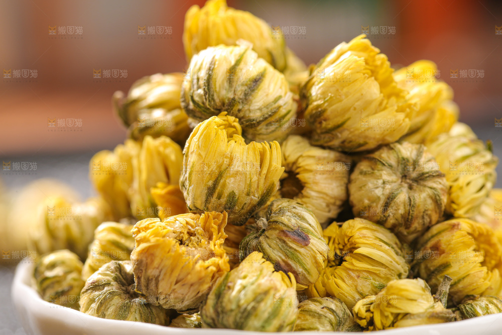 深底上的胎菊