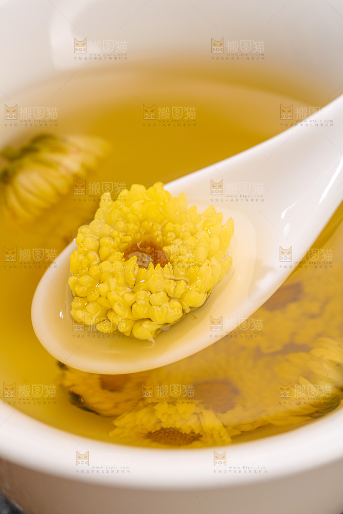 深底上的胎菊