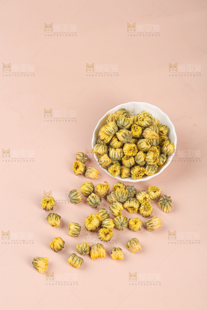 浅底上的胎菊