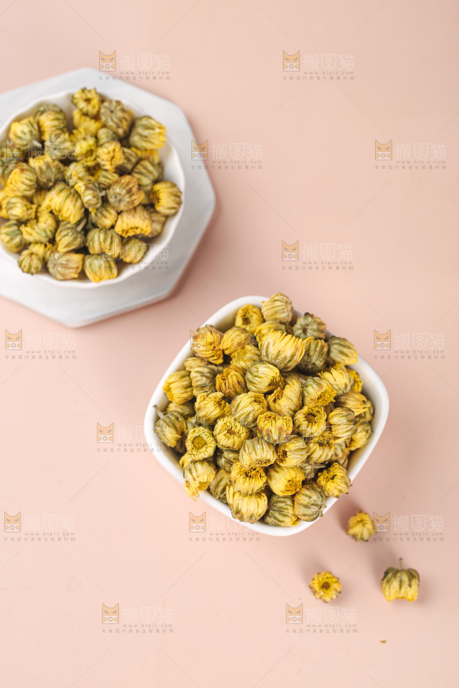 浅底上的胎菊