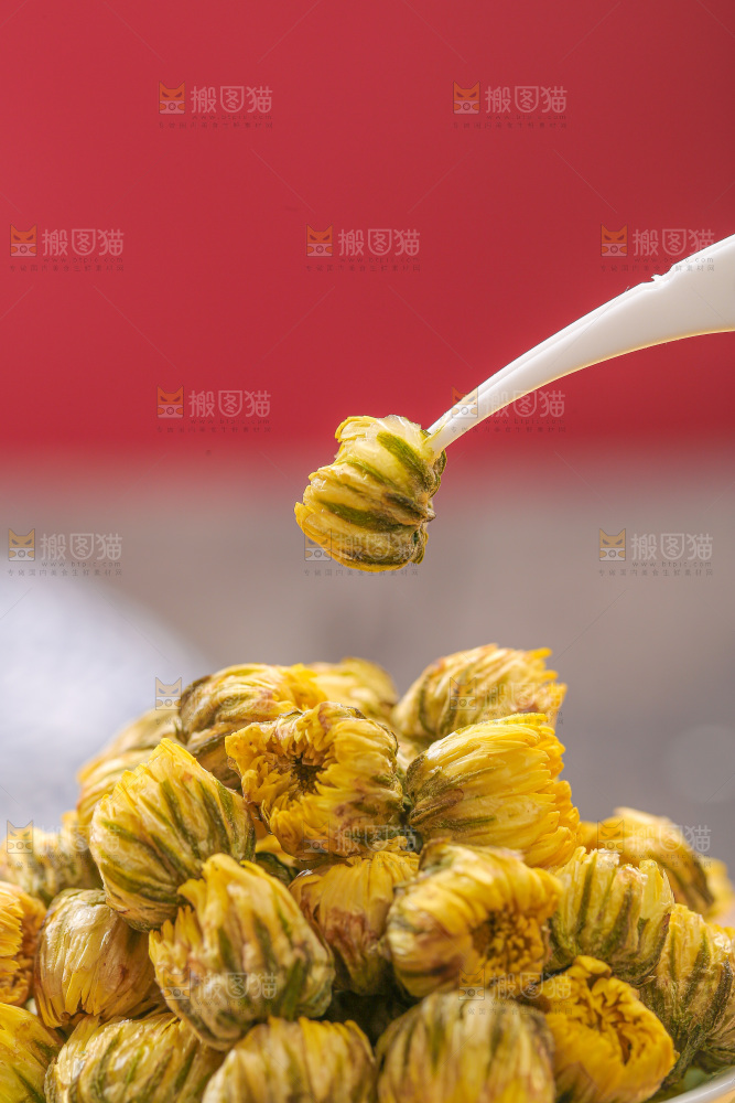 深底上的胎菊