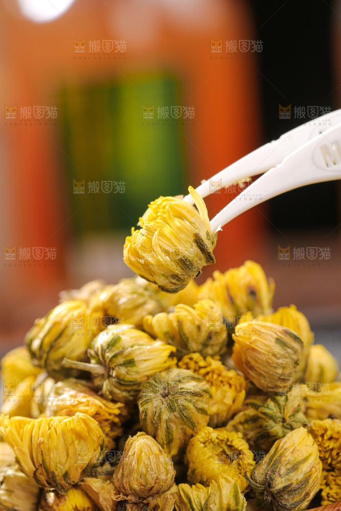 深底上的胎菊