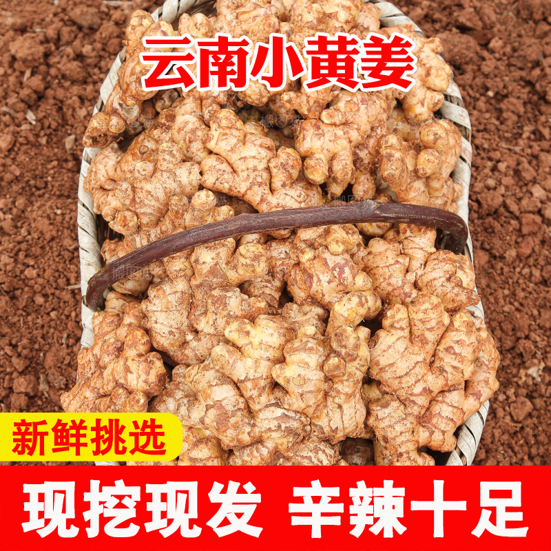 篮子里装着新鲜小黄姜