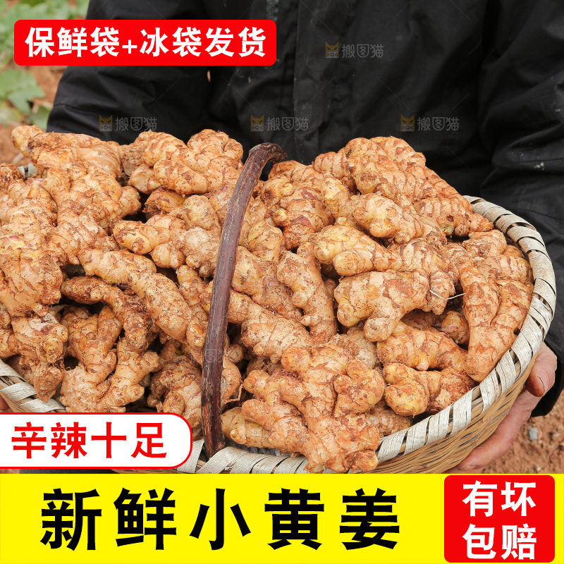 篮子里装着新鲜小黄姜