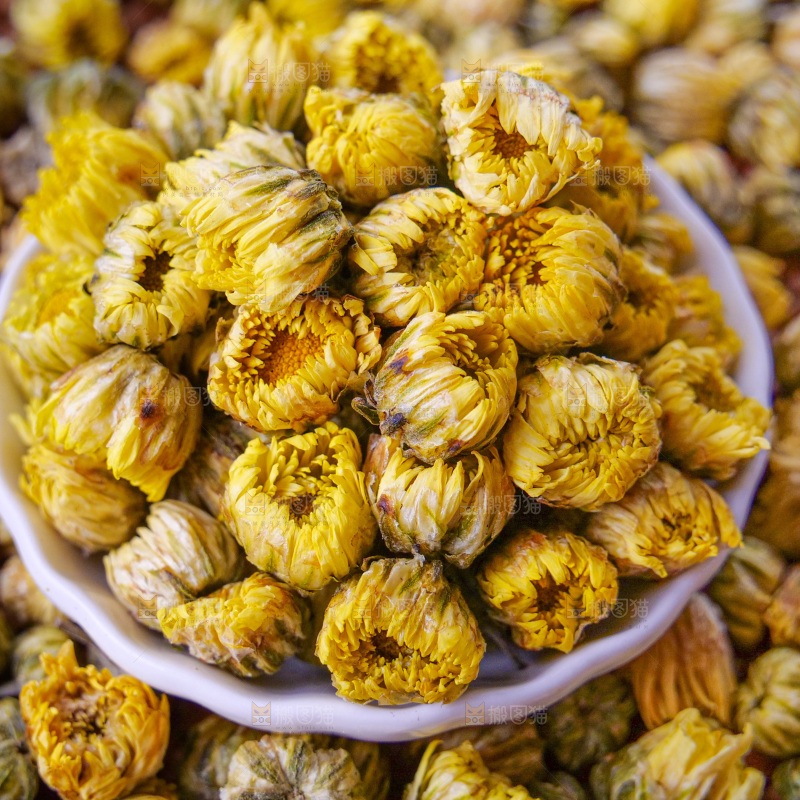 深底上的胎菊