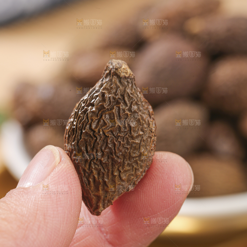 浅底上的胖大海