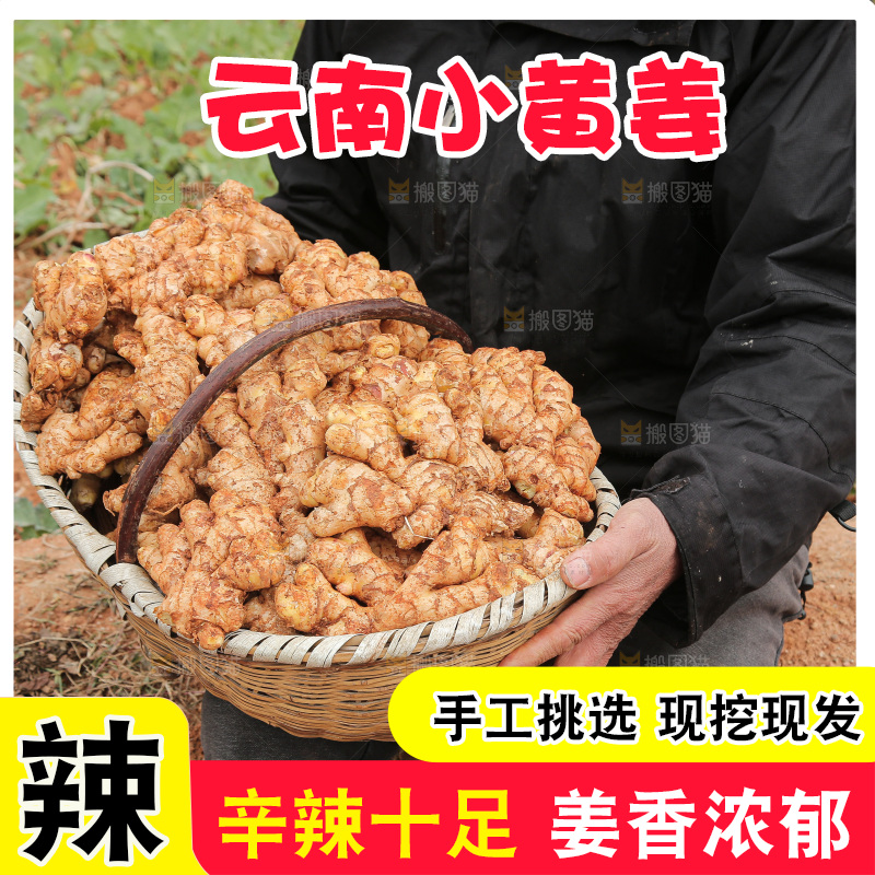 篮子里装着新鲜小黄姜