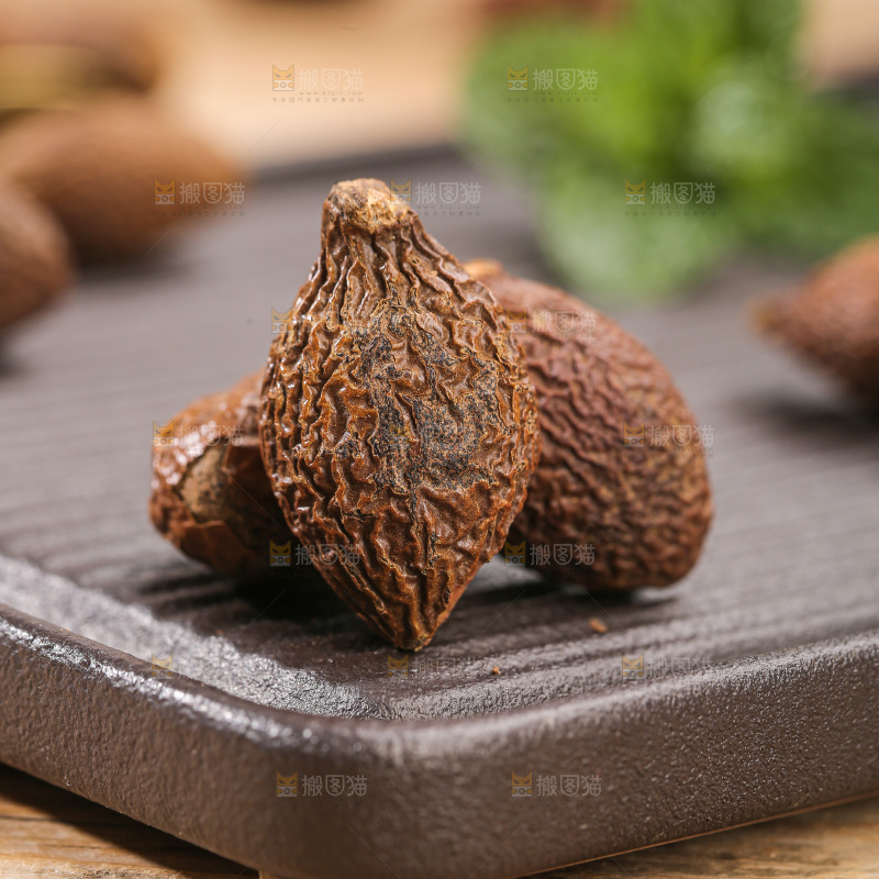 浅底上的胖大海