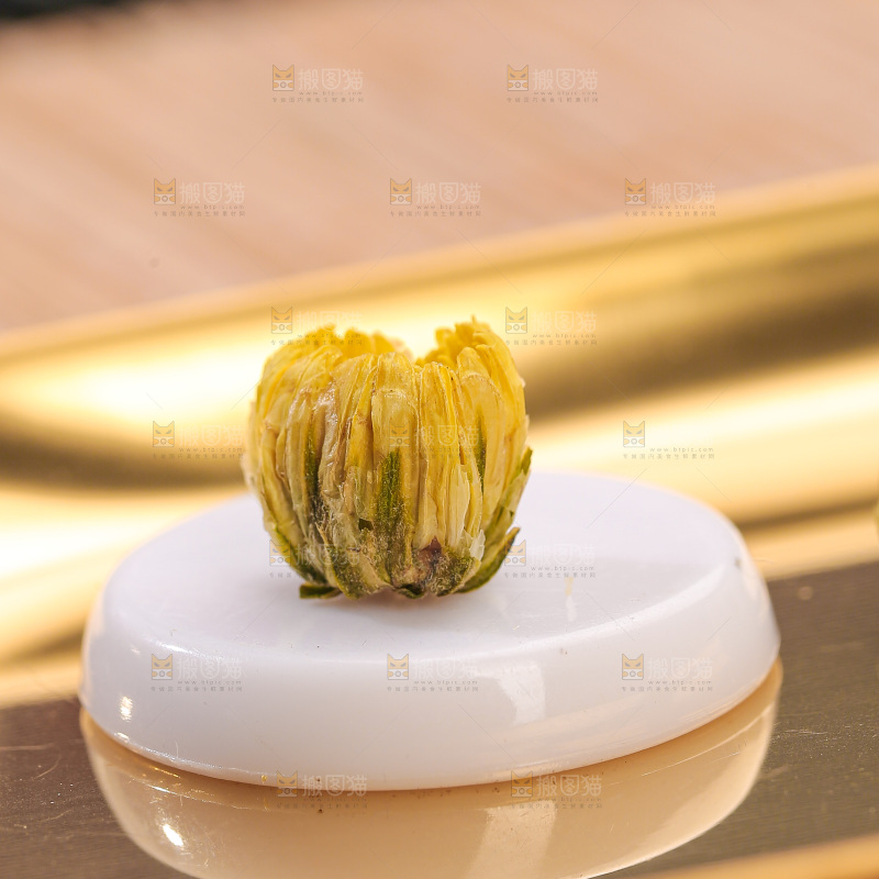 深底上的胎菊