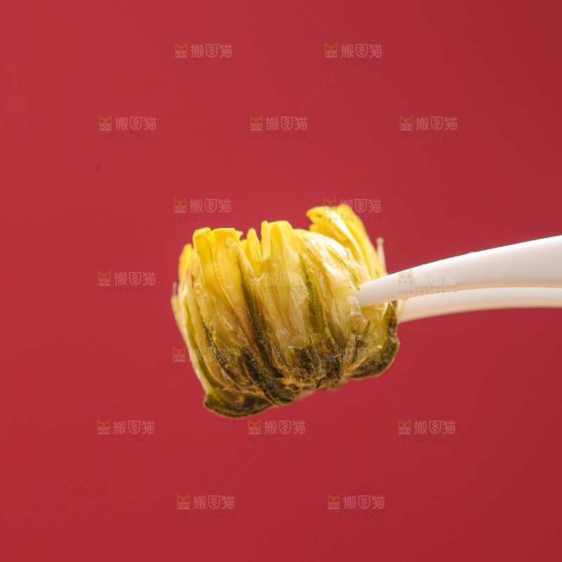 深底上的胎菊