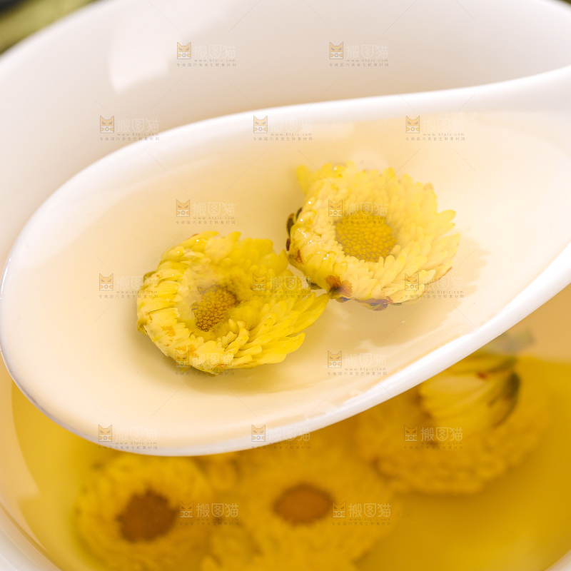 深底上的胎菊