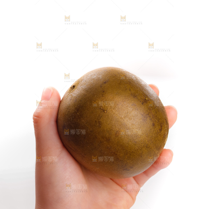 白底上的罗汉果