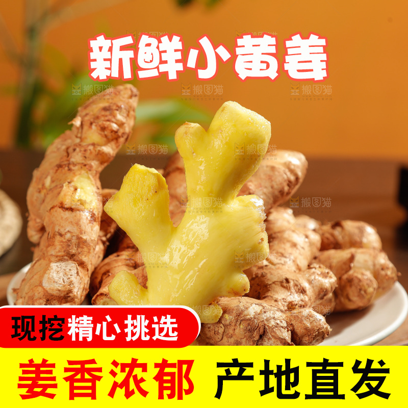 深底上的小黄姜