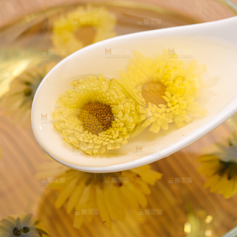 深底上的胎菊