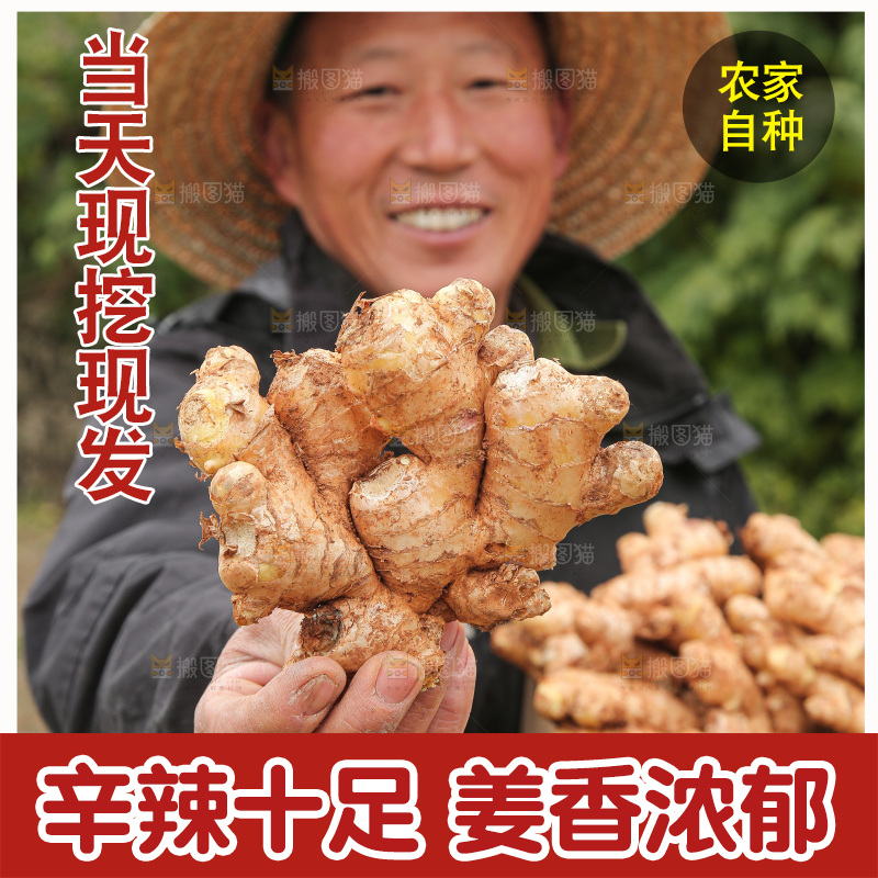 箱子里装着新鲜小黄姜