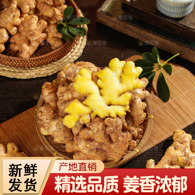深底上的小黄姜