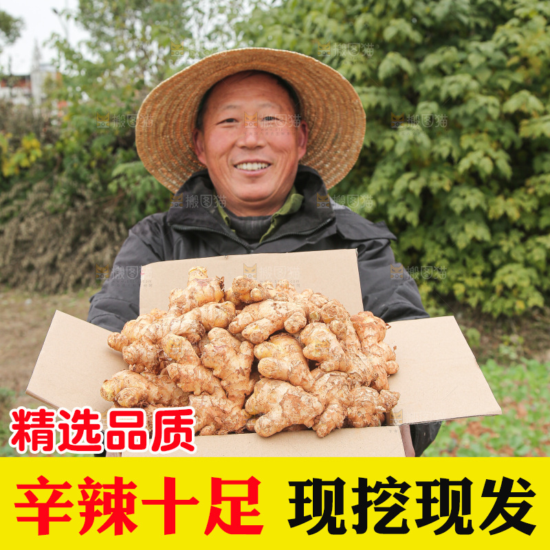 箱子里装着新鲜小黄姜