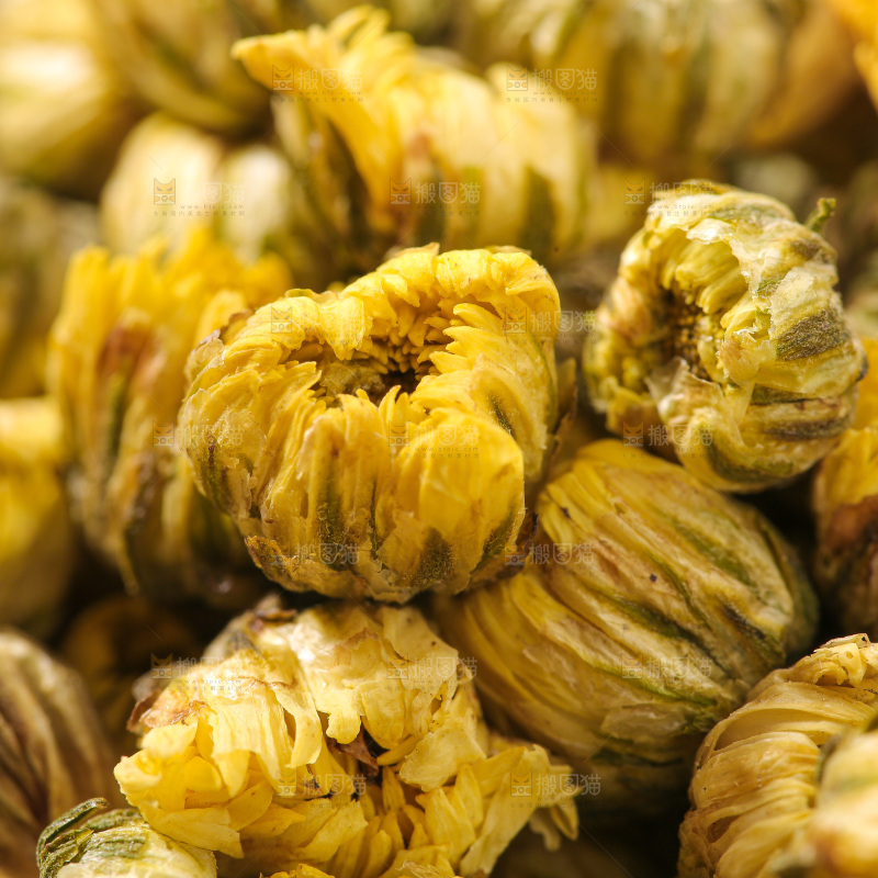 深底上的胎菊