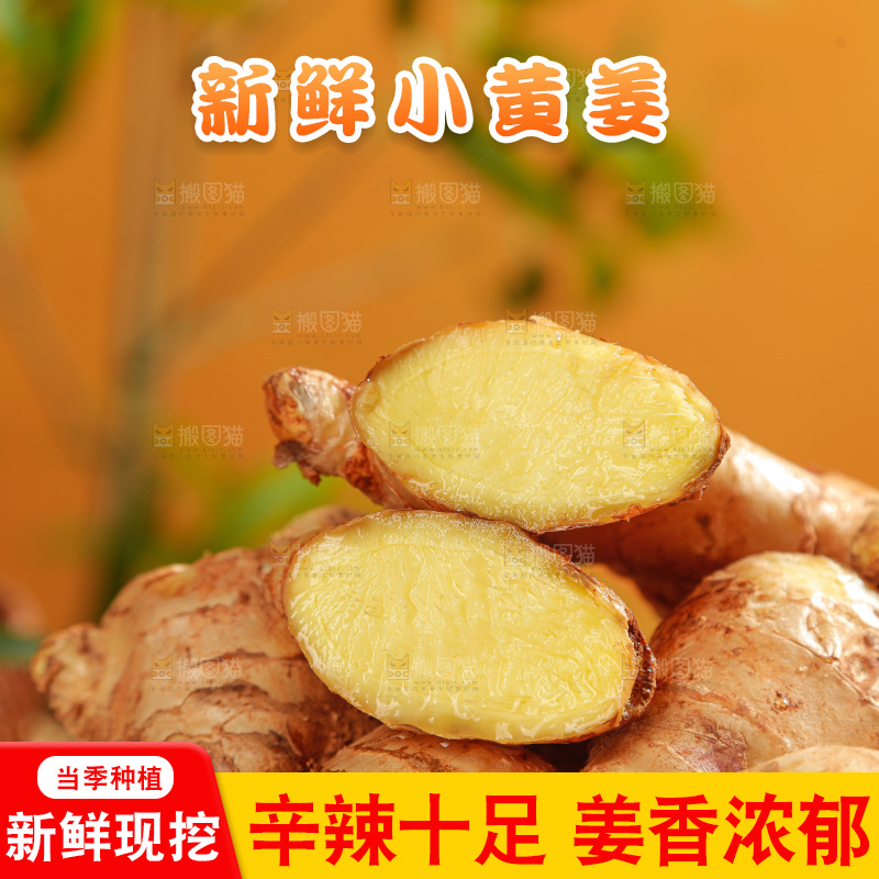 深底上的小黄姜