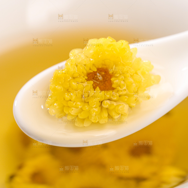 深底上的胎菊
