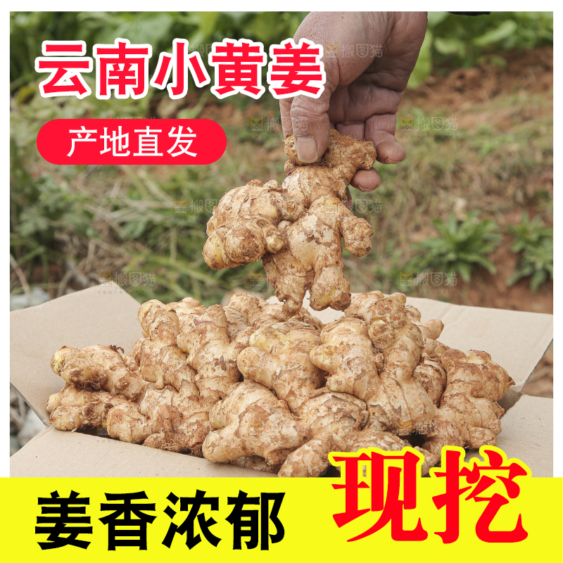箱子里装着新鲜小黄姜