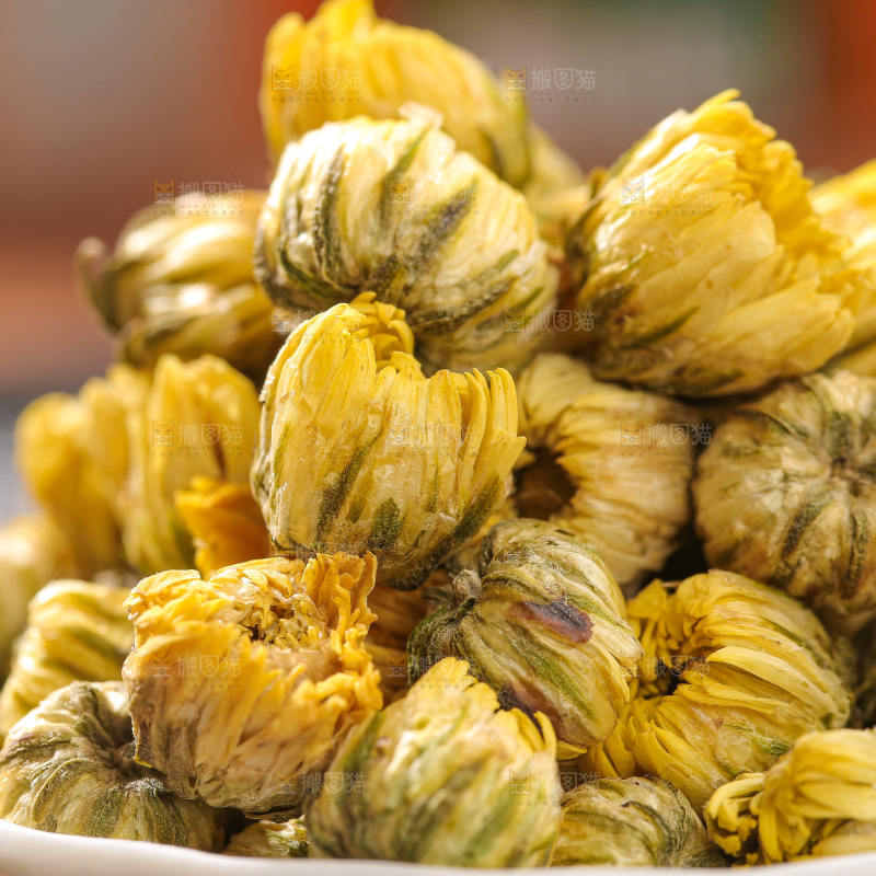 深底上的胎菊