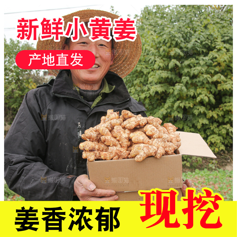 箱子里装着新鲜小黄姜