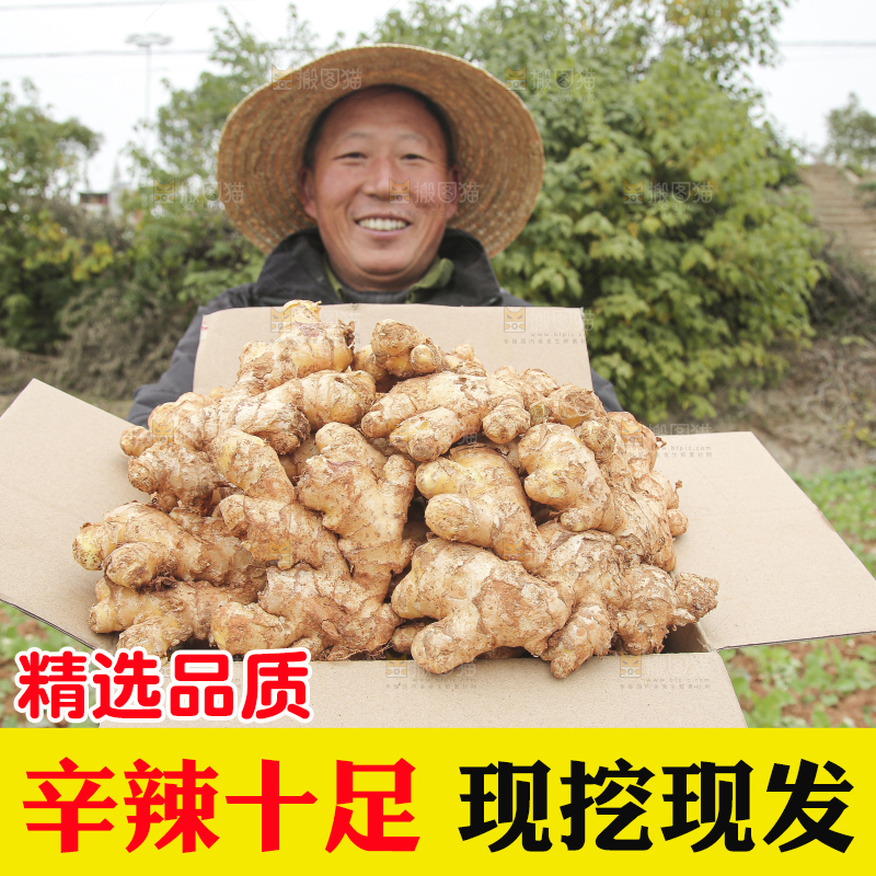 箱子里装着新鲜小黄姜