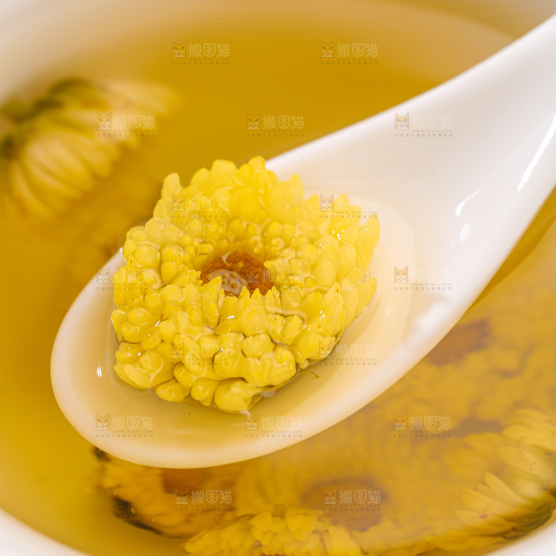 深底上的胎菊