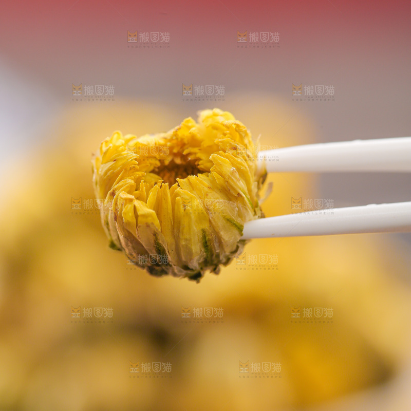 深底上的胎菊