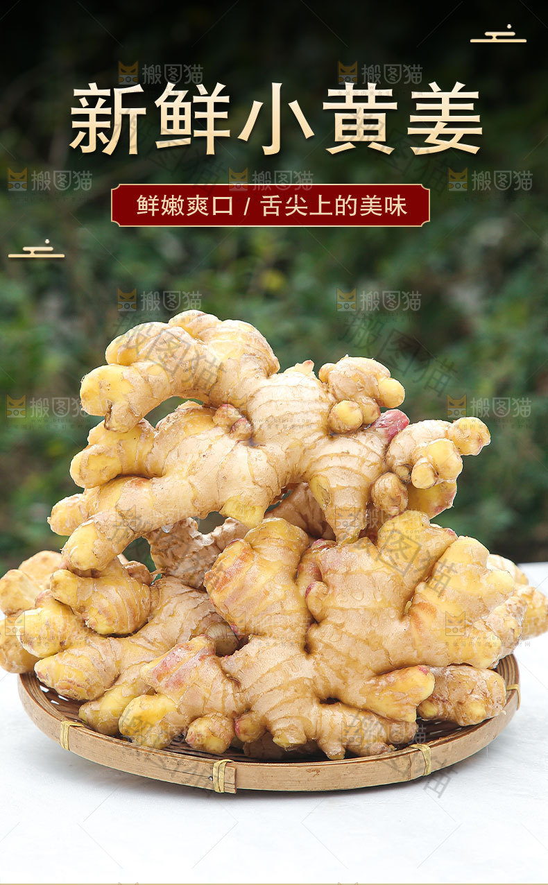 新鲜小黄姜详情页