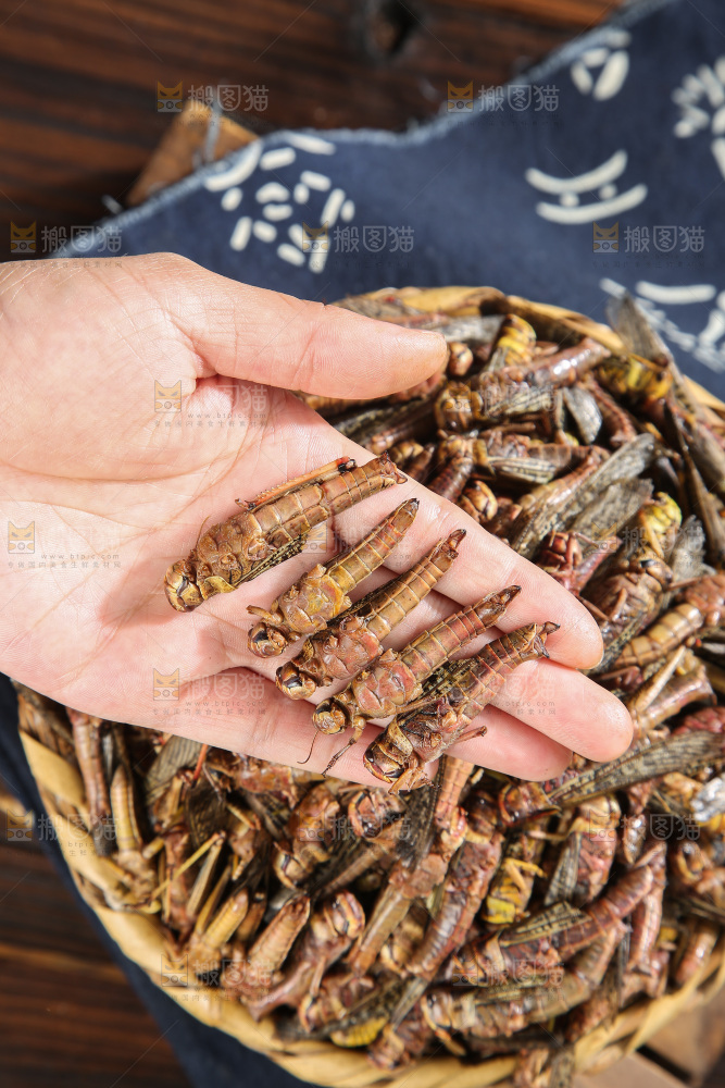 深底上的蚂蚱