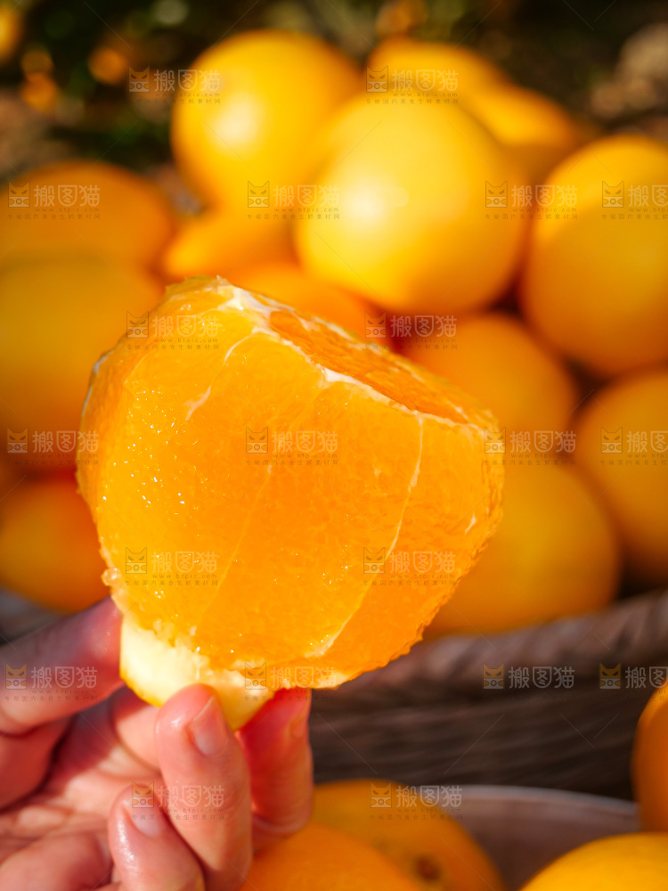 赣南脐橙