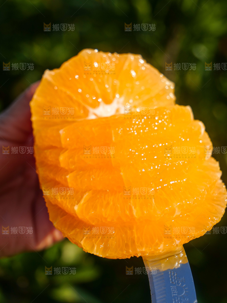 赣南脐橙