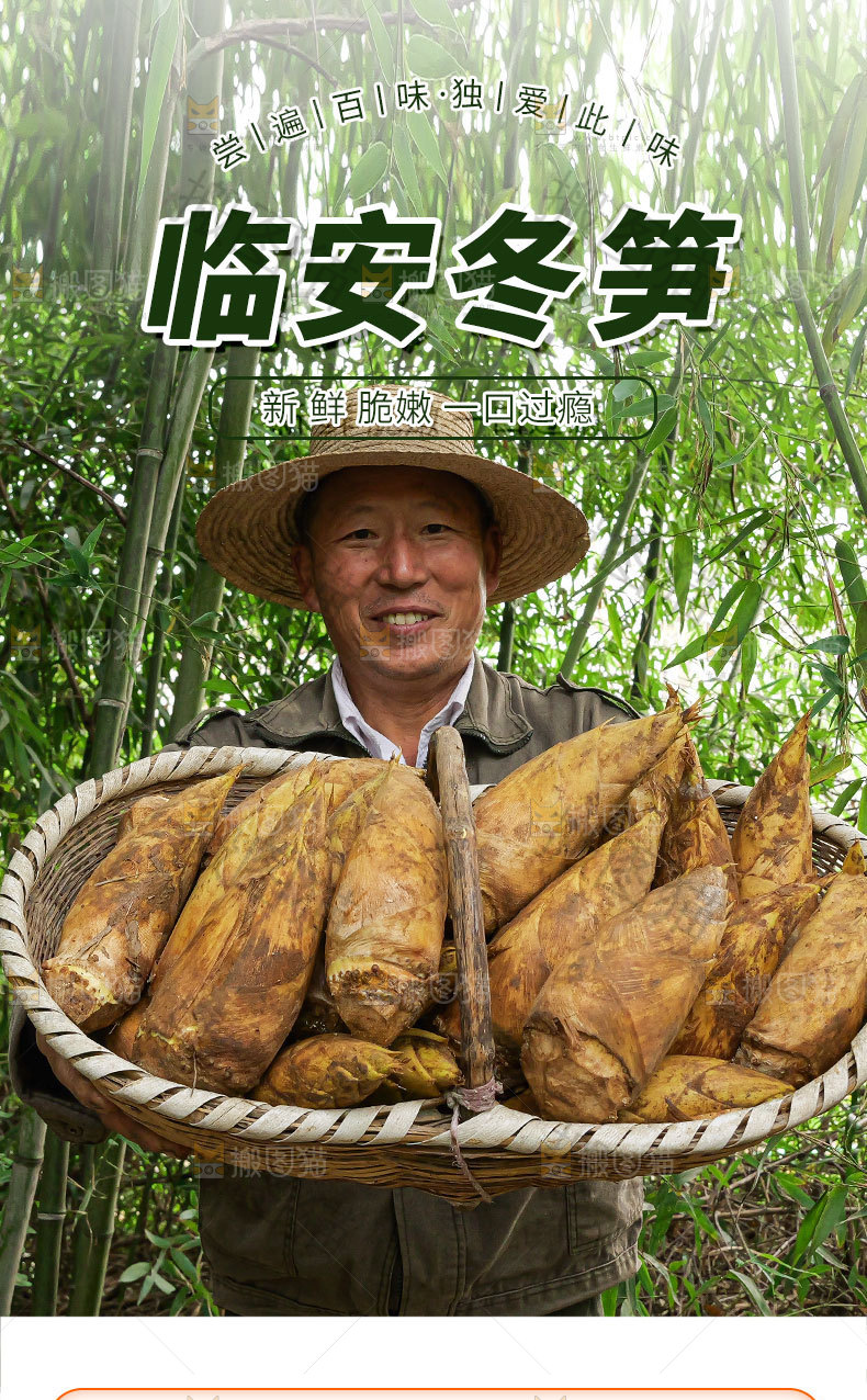 冬笋详情页