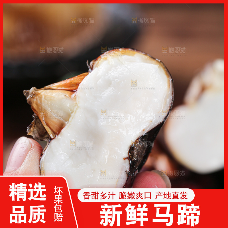 深底上的马蹄