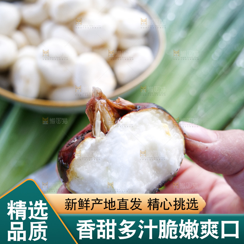浅底上的马蹄
