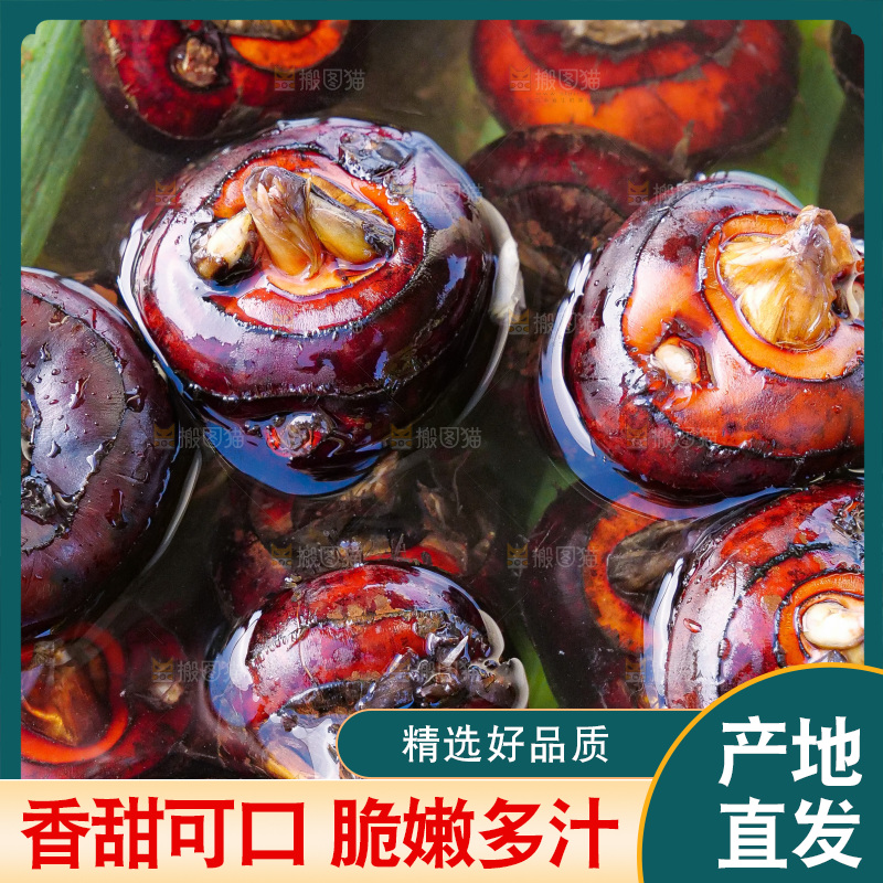 浅底上的马蹄