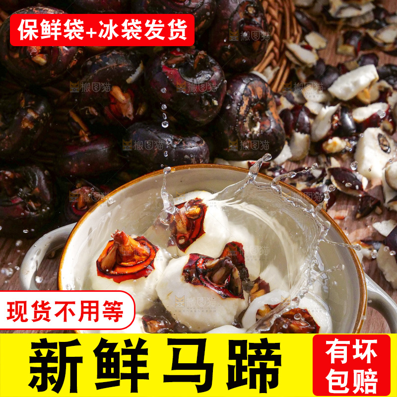 深底上的马蹄