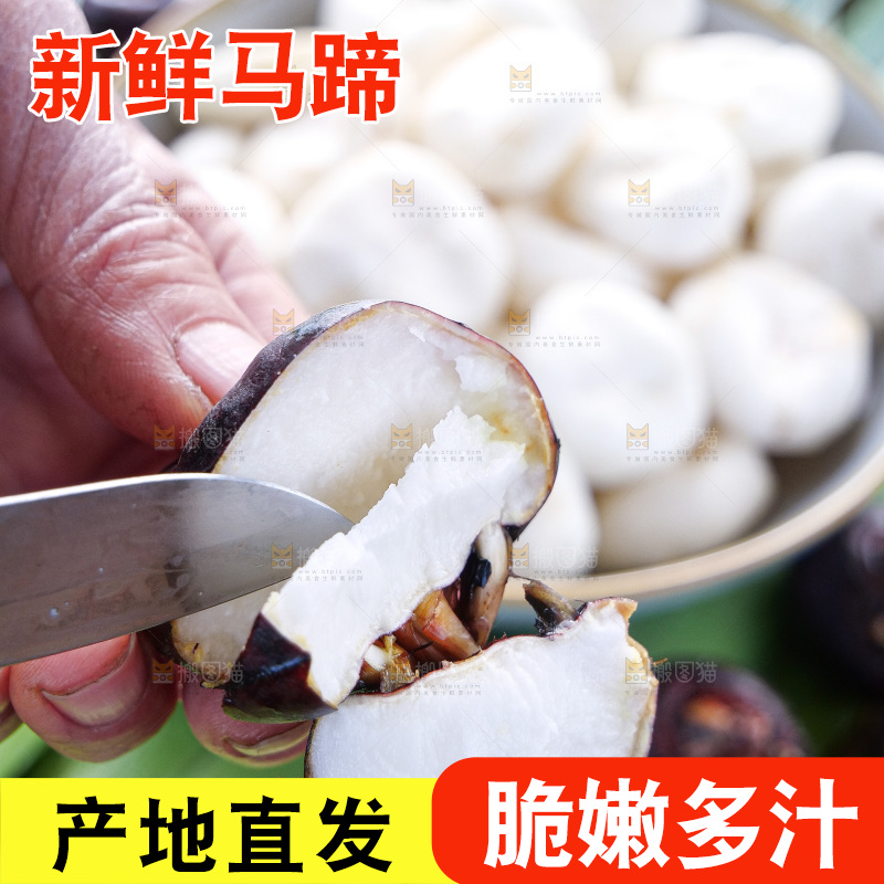 浅底上的马蹄