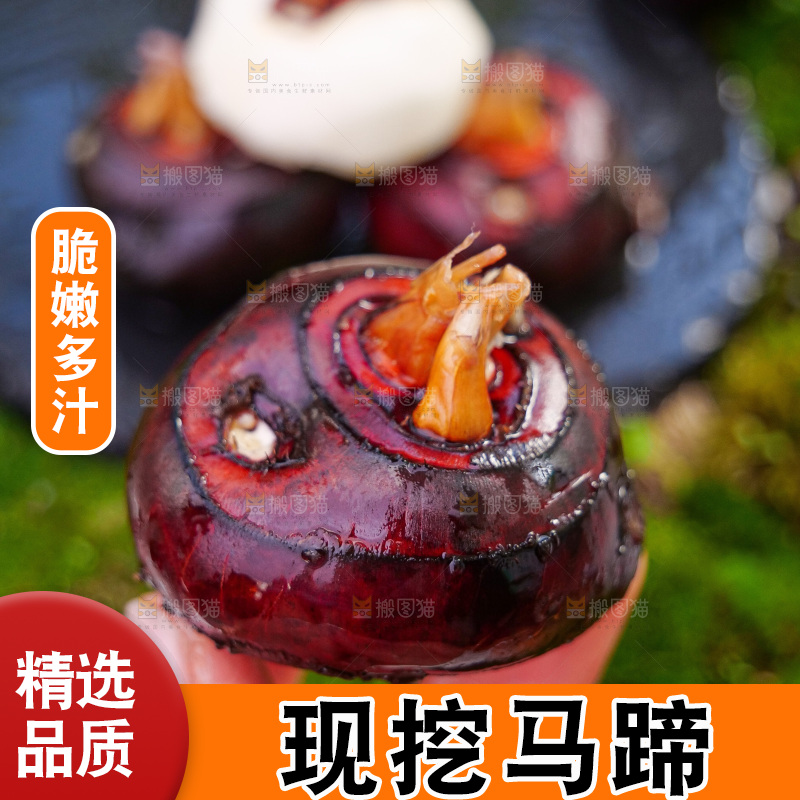 深底上的马蹄