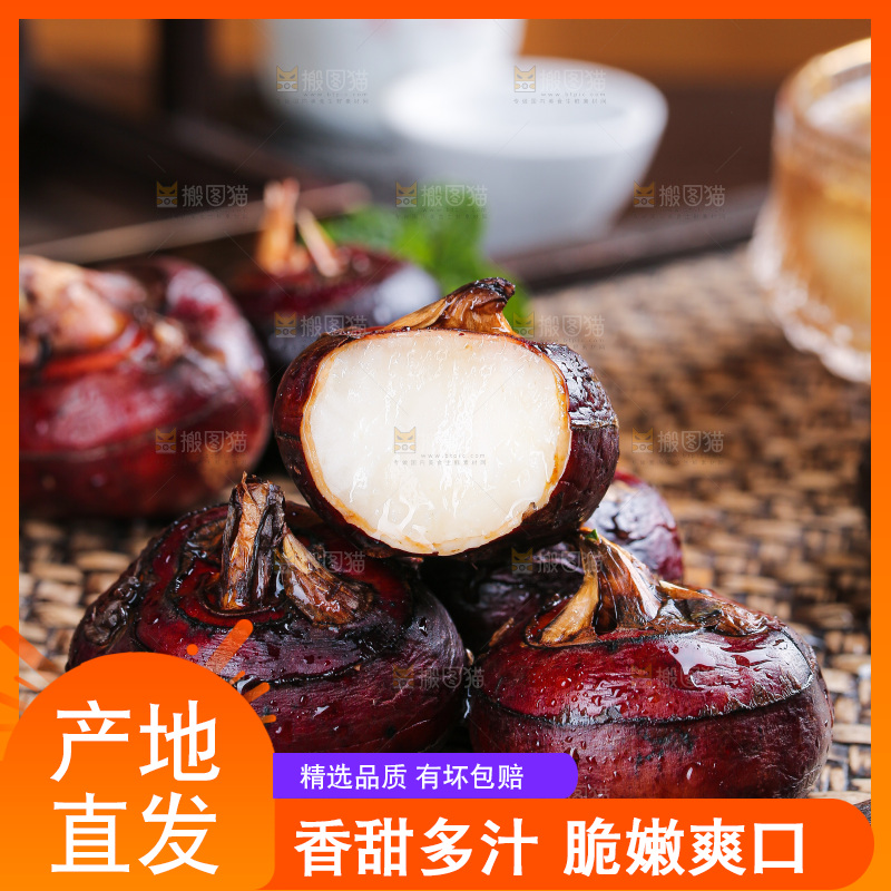 深底上的马蹄