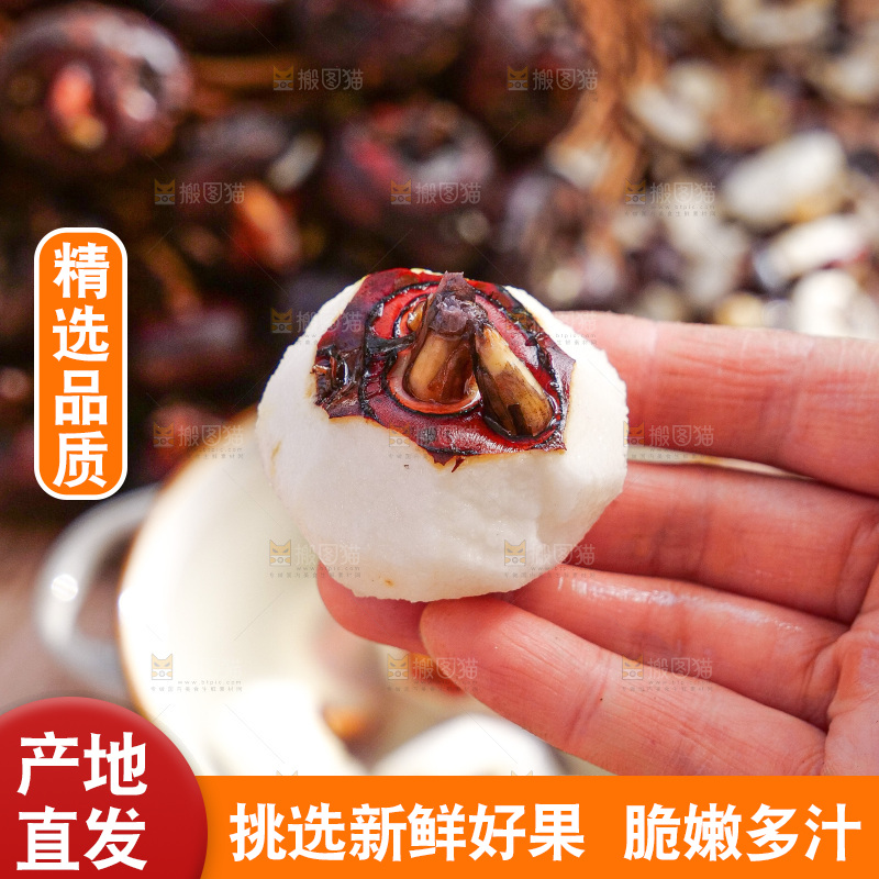 深底上的马蹄